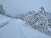 Neige-Lans-en-Vercors-27-mars-2024-11