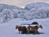 Lans en Vercors - 5 décembre 2020