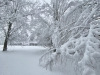 Neige-Lans-en-Vercors-27-mars-2024-5