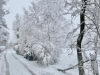 Neige-Lans-en-Vercors-27-mars-2024-6