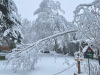 Neige-Lans-en-Vercors-27-mars-2024-8