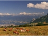 Charande (Vercors) - 19 juillet 2009