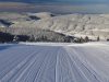 cropped-Lans-en-Vercors-18-janvier-2015-5