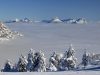 cropped-Lans-en-Vercors-7-fevrier-2015-8