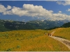 Vercors (Charande) - 19 juillet 2009