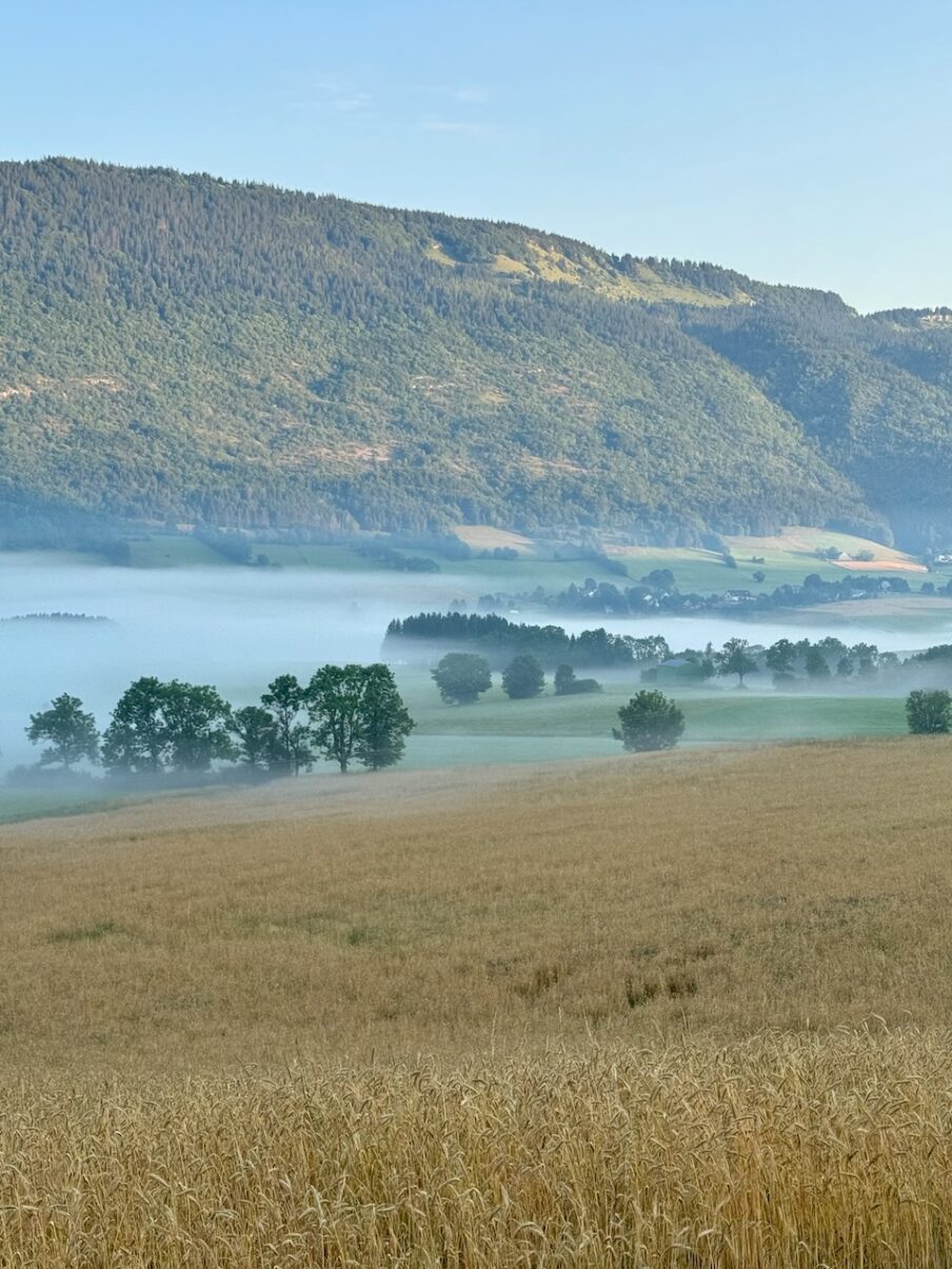 Brumes matinales et montgolfière, Lans en Vercors, 30 juillet 2024. 