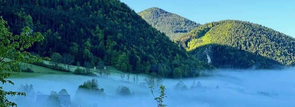 Photos du Vercors, des Alpes et d'ailleurs … au fil des jours et des années.